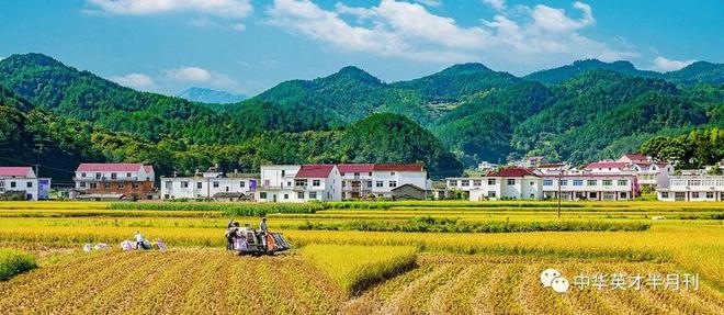 下载-11_副本.jpg