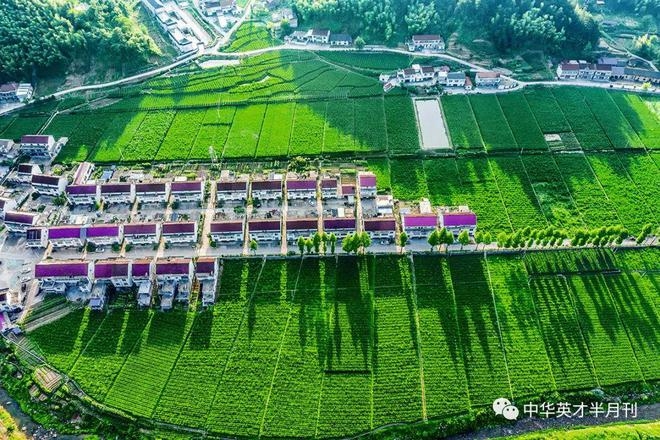 下载-14_副本.jpg